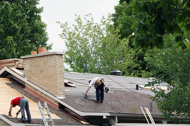 Best Roof Repair Services  in Delmont, PA