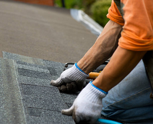 Best Shingle Roofing Installation  in Delmont, PA